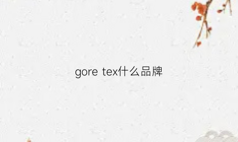 goretex什么品牌